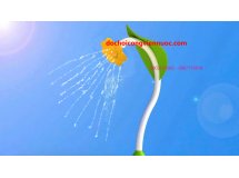 cây hoa phun nước hồ bơi